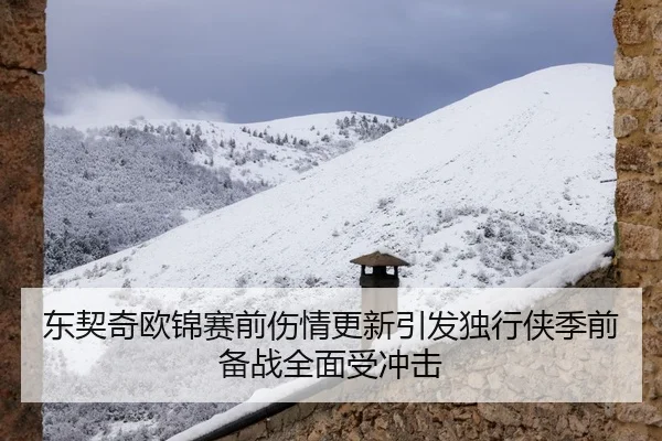 东契奇欧锦赛前伤情更新引发独行侠季前备战全面受冲击